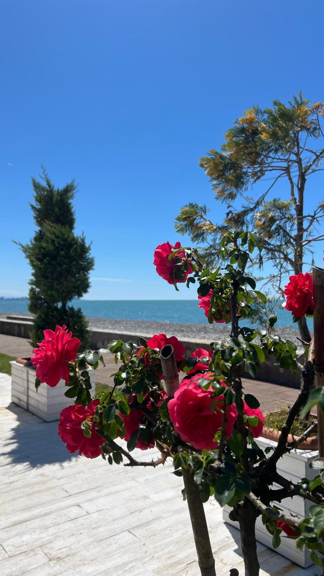Luxury Oasis Apartment Chakvi Dış mekan fotoğraf