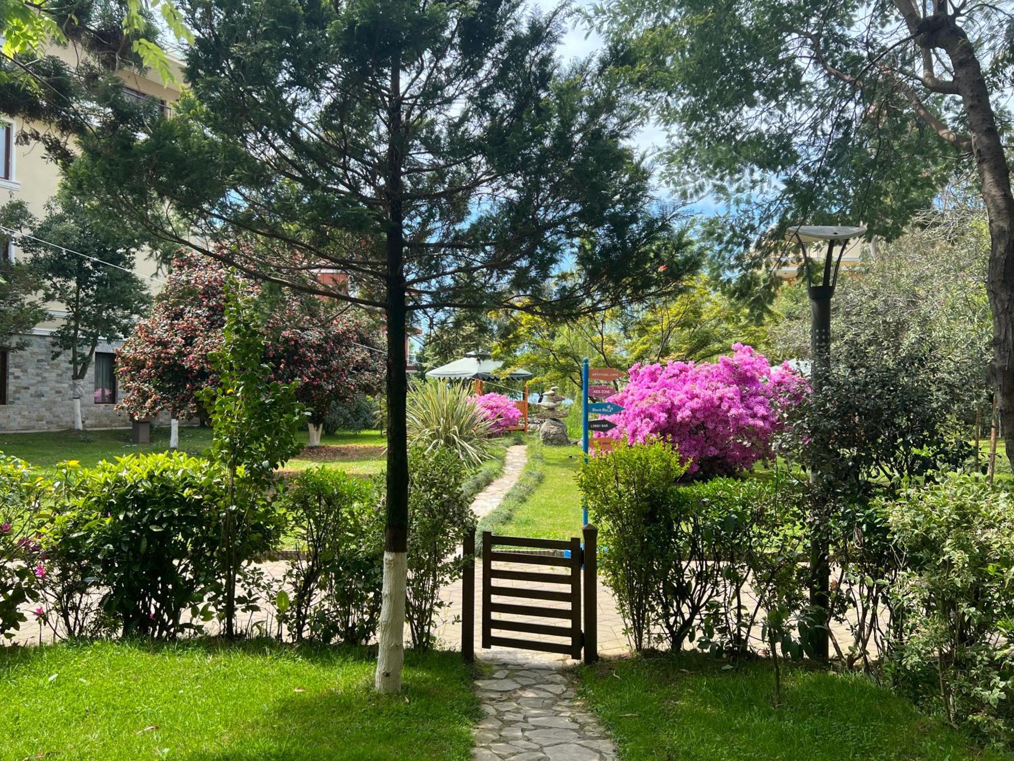 Luxury Oasis Apartment Chakvi Oda fotoğraf